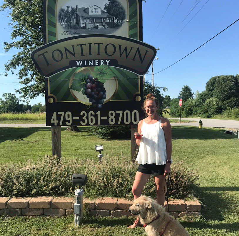 Drink What You Like At These DogFriendly Wineries in Arkansas