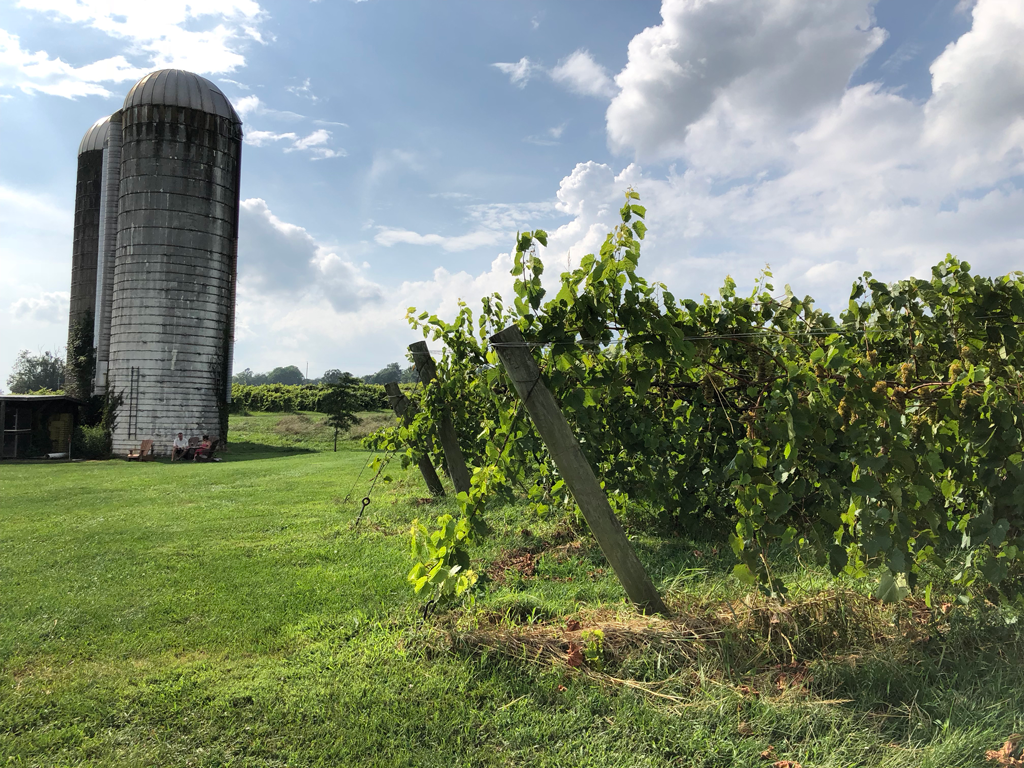 silos-and-vines-1024x768