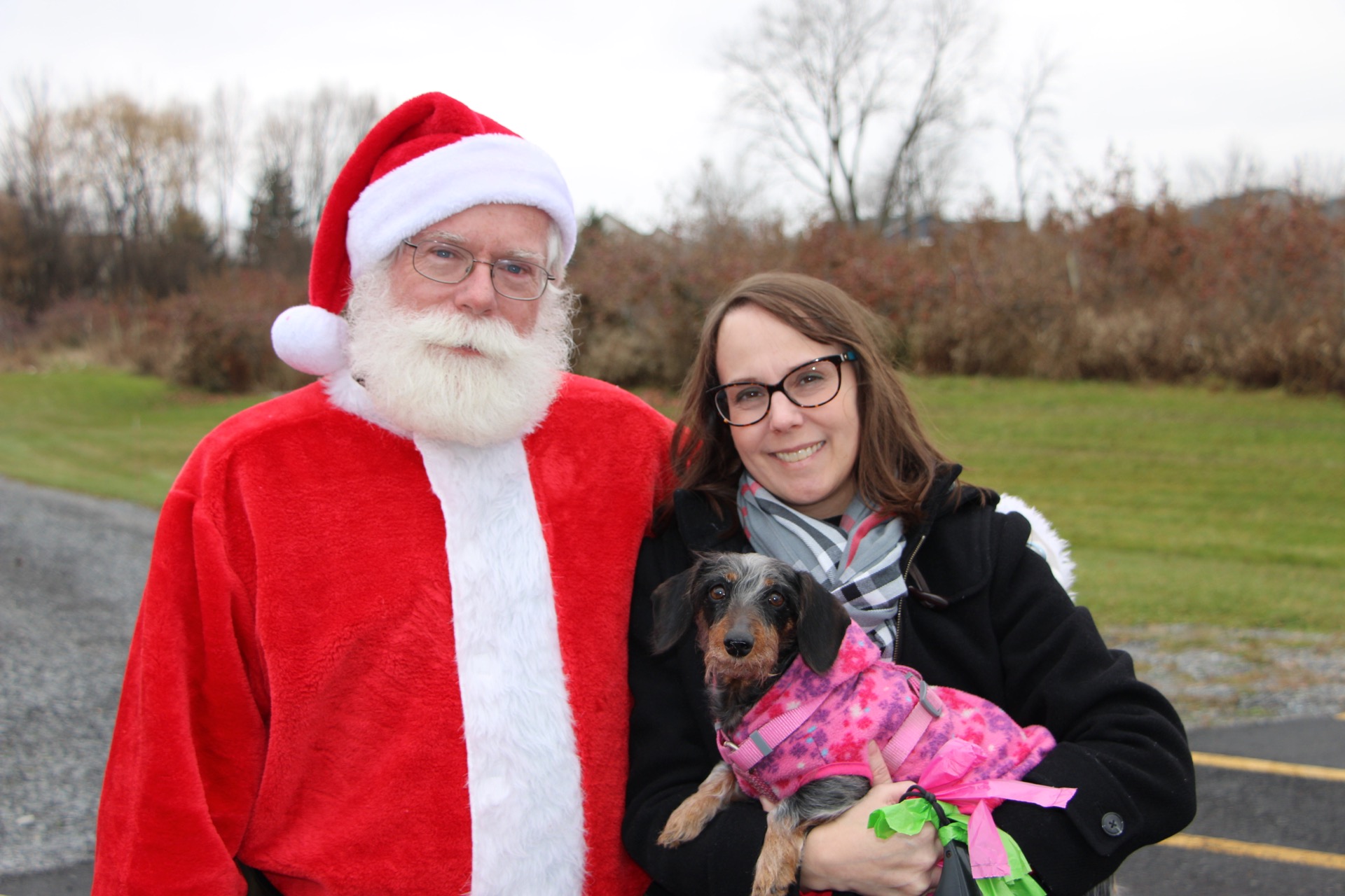 Deck the Halls! Exploring DogFriendly Vineyards Around Seneca Lake