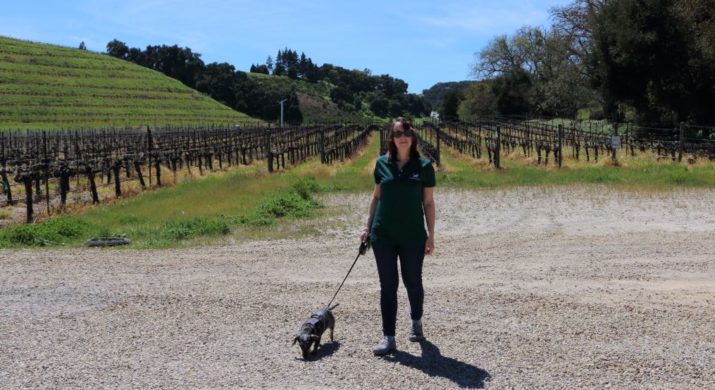 Must Love Dogs: 16 Wineries that Support Canine Causes