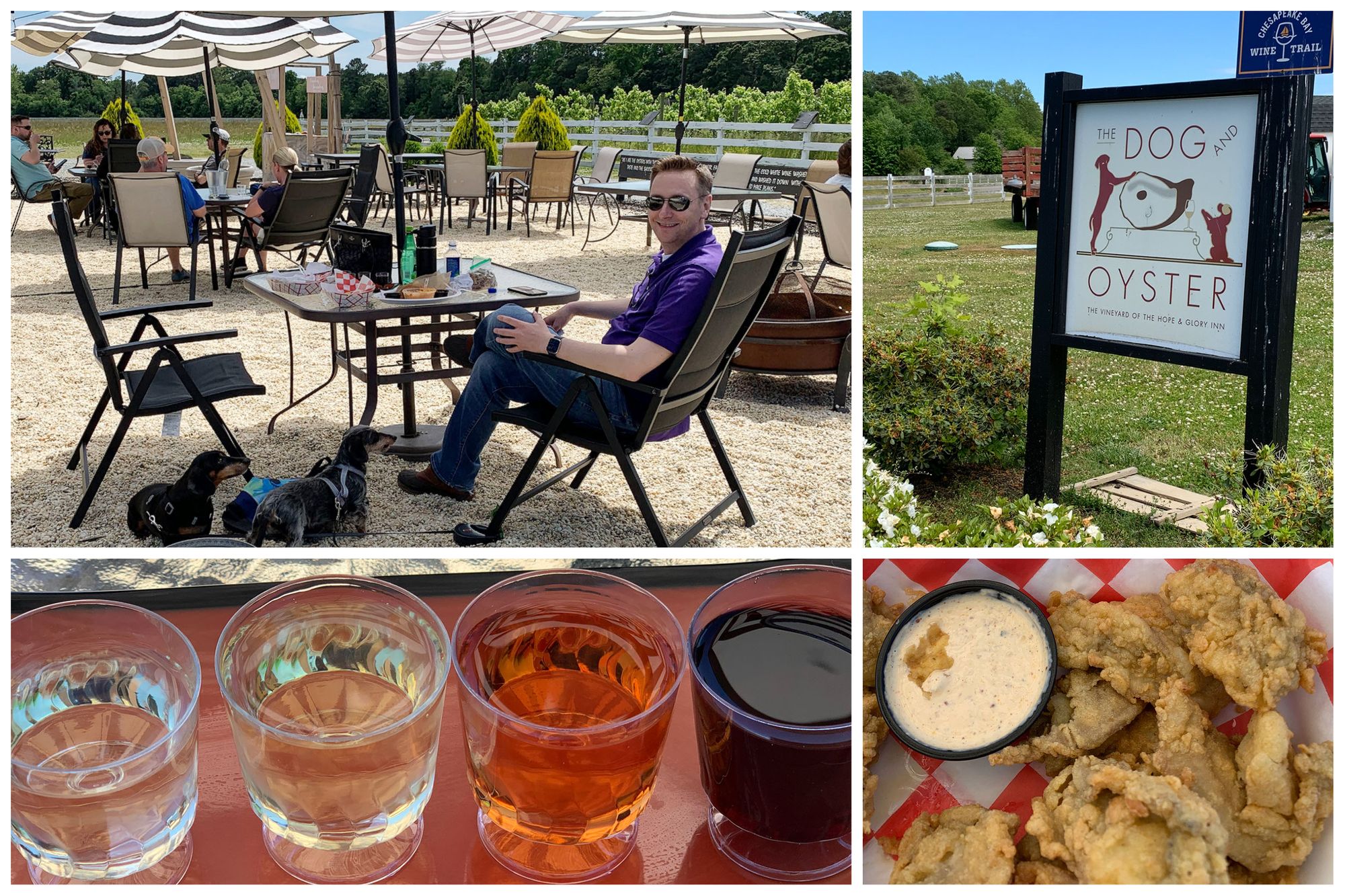 Exploring Wineries and Breweries Along Virginia's Northern Neck