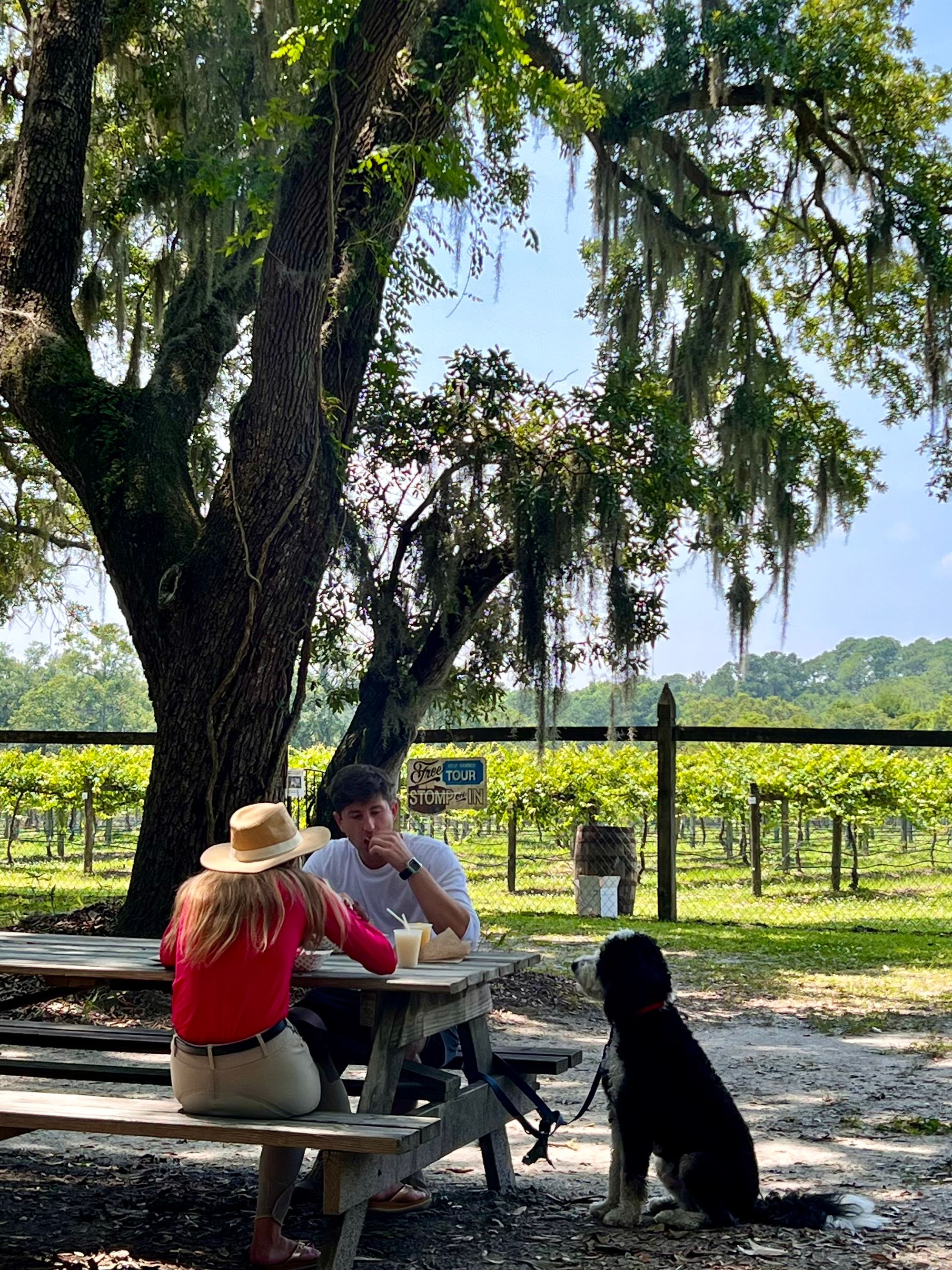 Low Country Wine and Beer: Cork Hounds Visits South Carolina