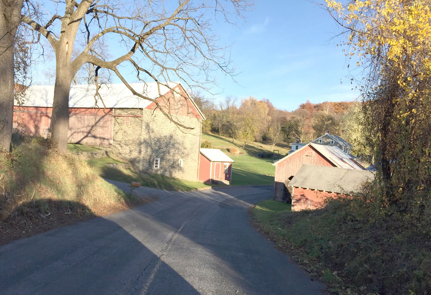 Exploring Dog-Friendly Vineyards Near Lancaster, Pennsylvania