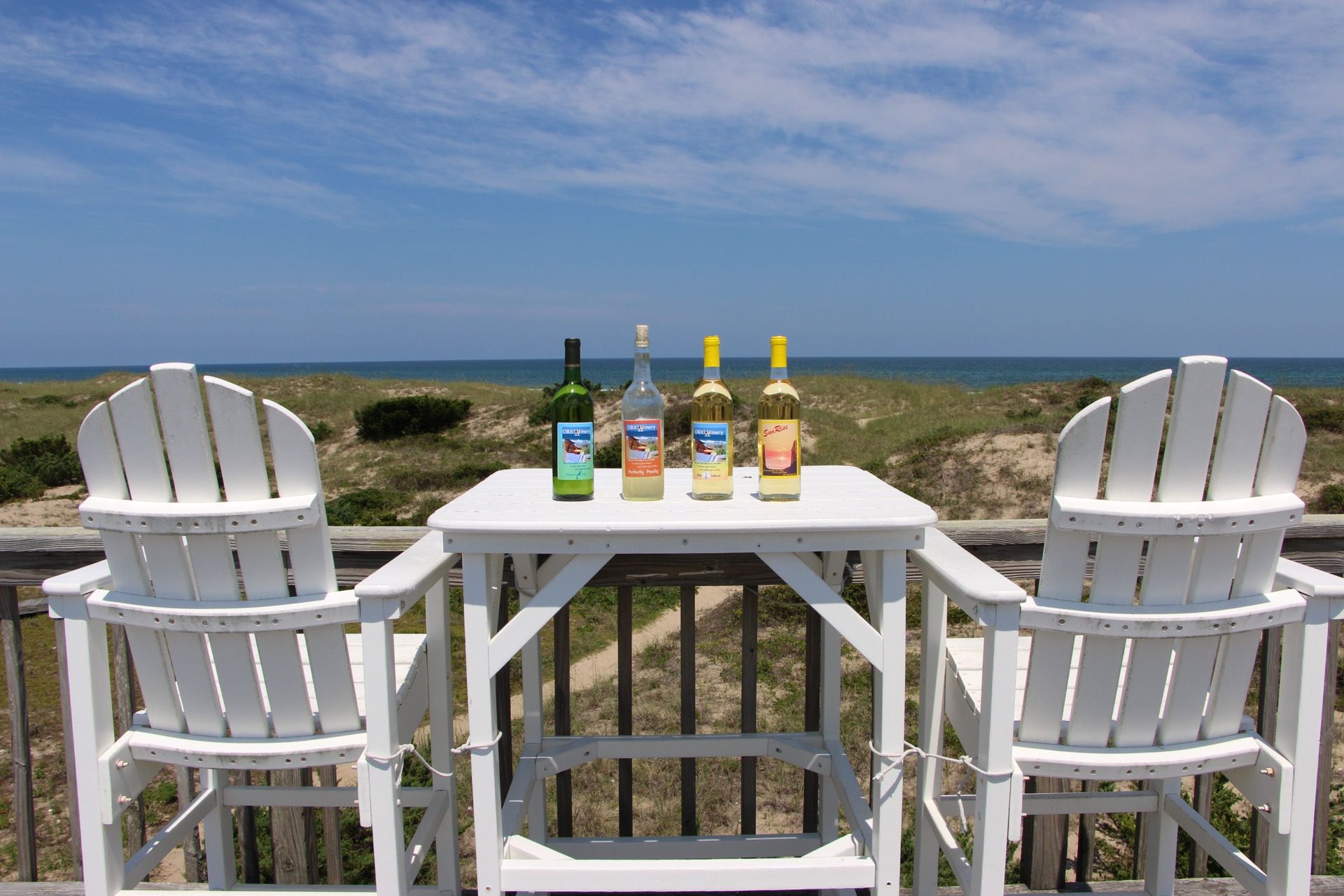 Exploring Dog-Friendly Vineyards Along the Outer Banks of North Carolina