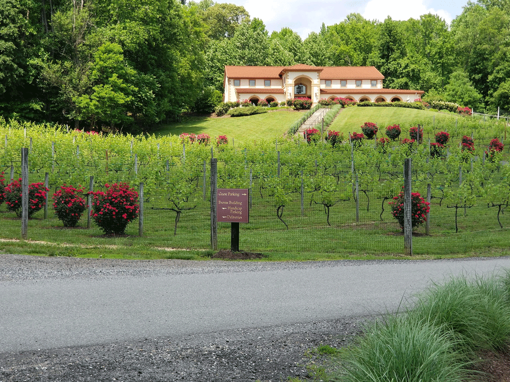 Exploring Dog-Friendly Vineyards Near Prince Frederick, Maryland