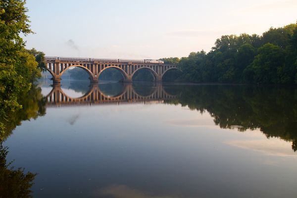 Exploring Dog-Friendly Vineyards Near Fredericksburg, Virginia