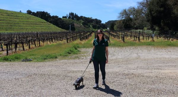 PART 2: The Wine4Paws Charity Event and Dog-Friendly Vineyards in Paso Robles, California
