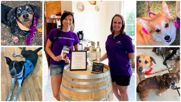 Canines Uncorked Charity Event and Dog-Friendly Vineyards Near Portland, Oregon