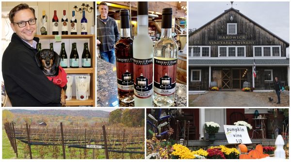 Exploring Dog-Friendly Vineyards in Connecticut and Massachusetts