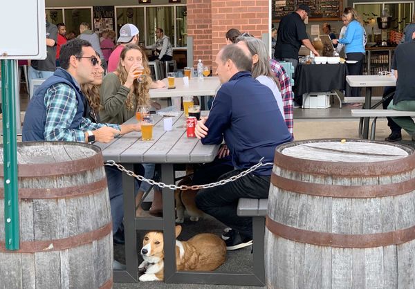 Exploring Breweries in Northern Virginia